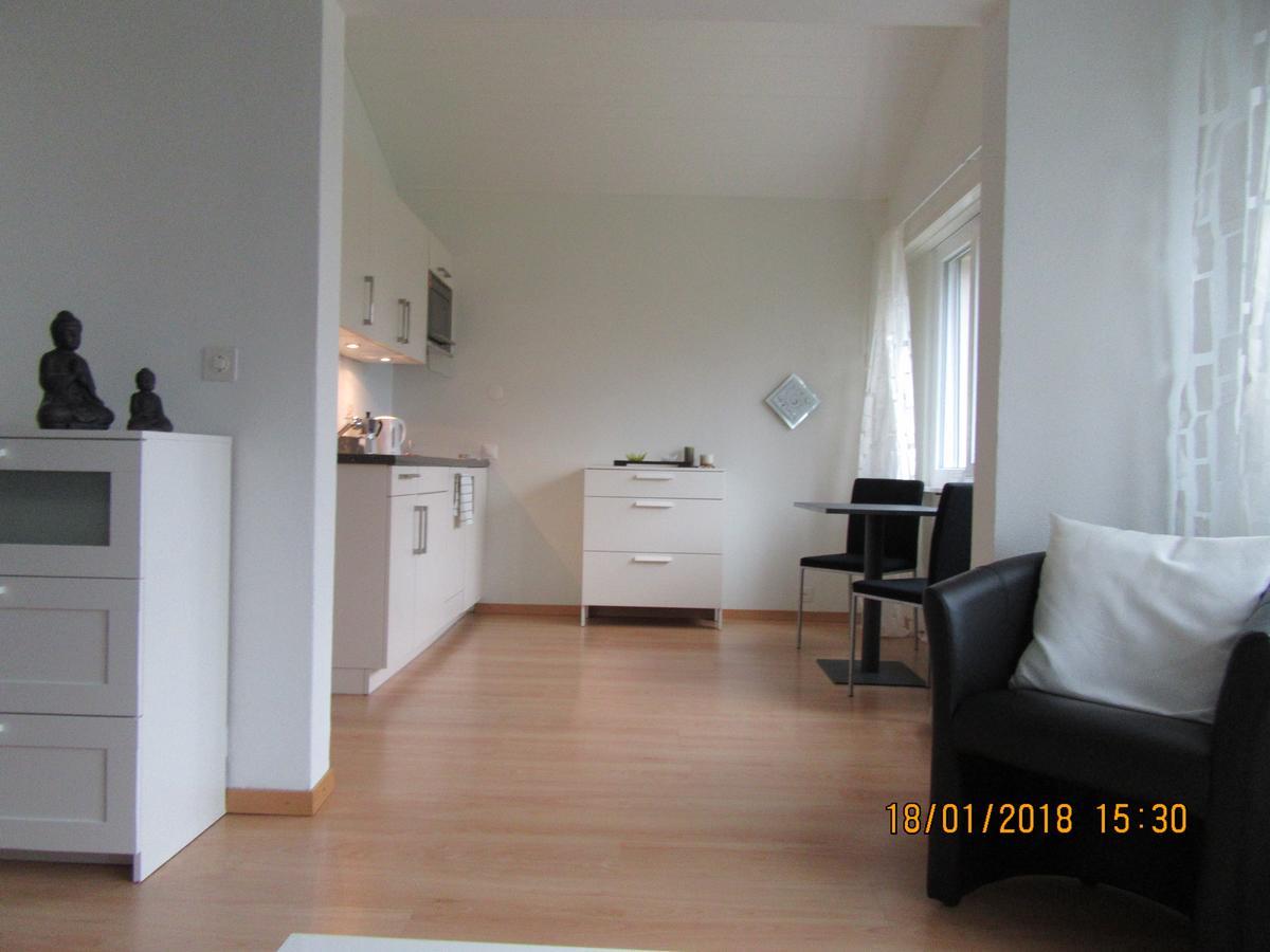 Apartamento Le Debarcadere Saint Sulpice  Exterior foto